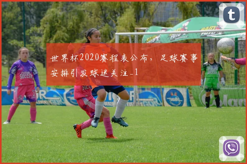 世界杯2020赛程表公布,足球赛事安排引发球迷关注_1