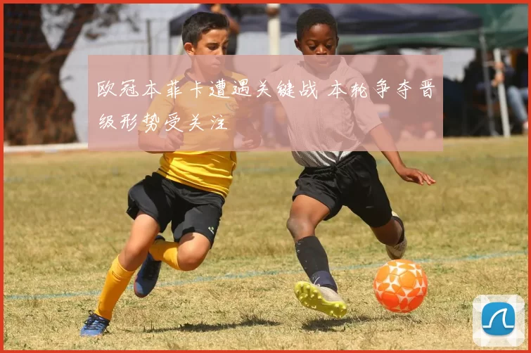 欧冠本菲卡遭遇关键战 本轮争夺晋级形势受关注